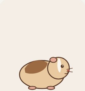 Guinea pig